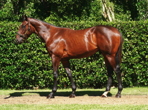 Latest Weekly Listings – So You Think, Astern and Tassort
